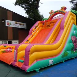 Midi Inflatable Slides