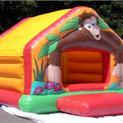 Buy Party Bounce Online